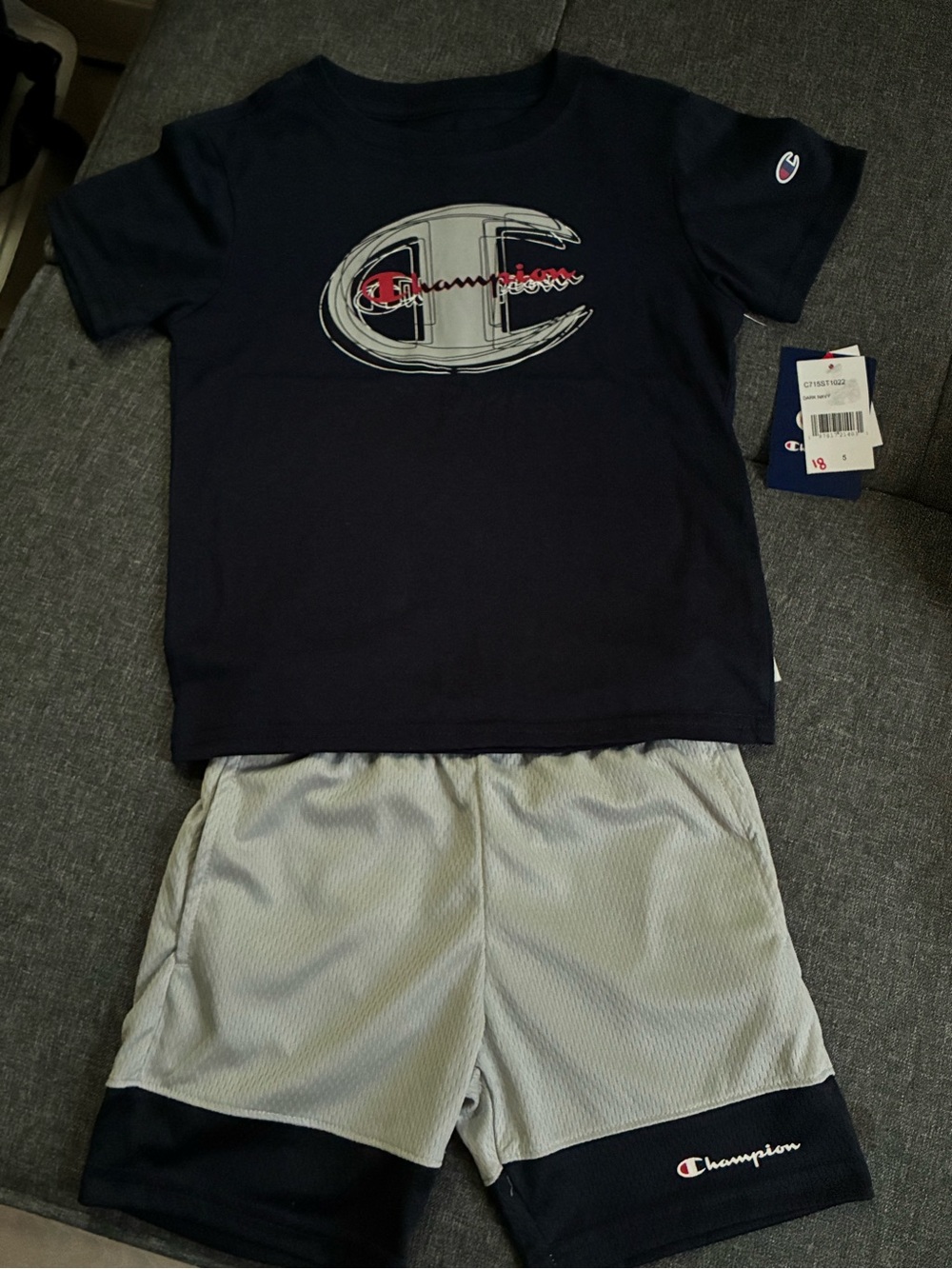 Champion Navy and Gray Logo Tee & Shorts Set